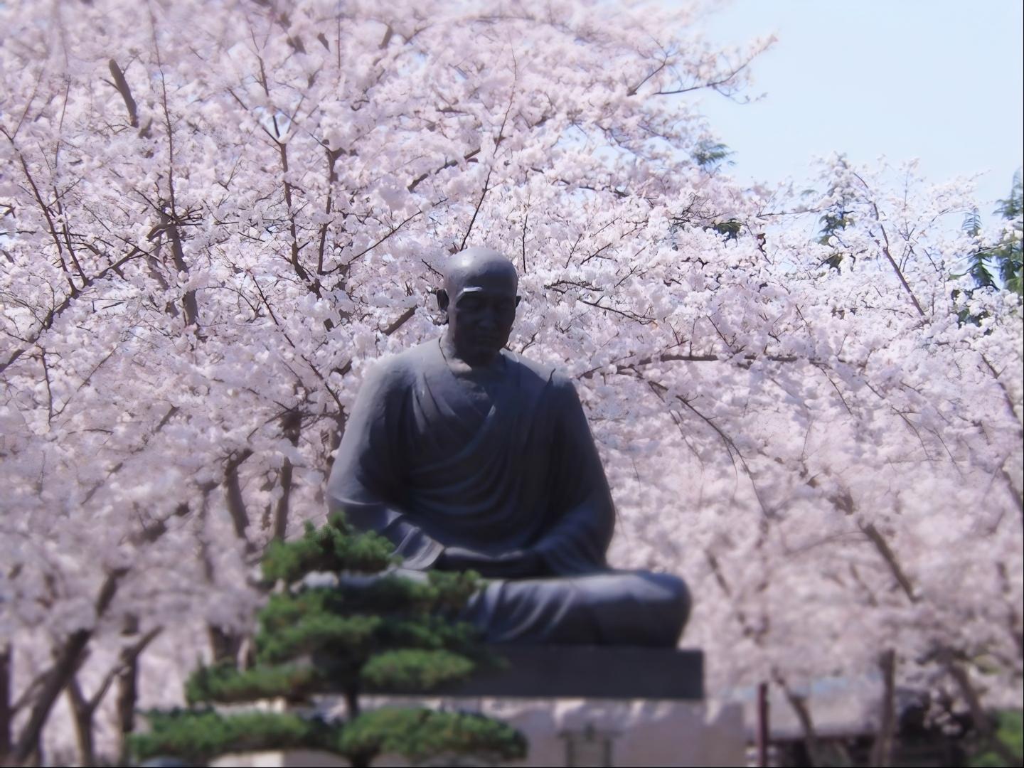 白蛇传文化活动